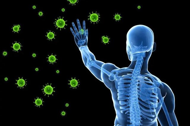 سیستم ایمنی بدن چگونه شکل می‌گیرد؟