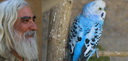 قفس بی زندانبان دیگری باید بسازم +عکس هائی از ..... قفس بی زندانبان دیگری باید بسازم +عکس هائی از .....