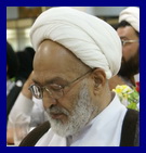 امام جمعه مهریز از حضور حماسه ساز مردم در انتخابات تشکر کرد